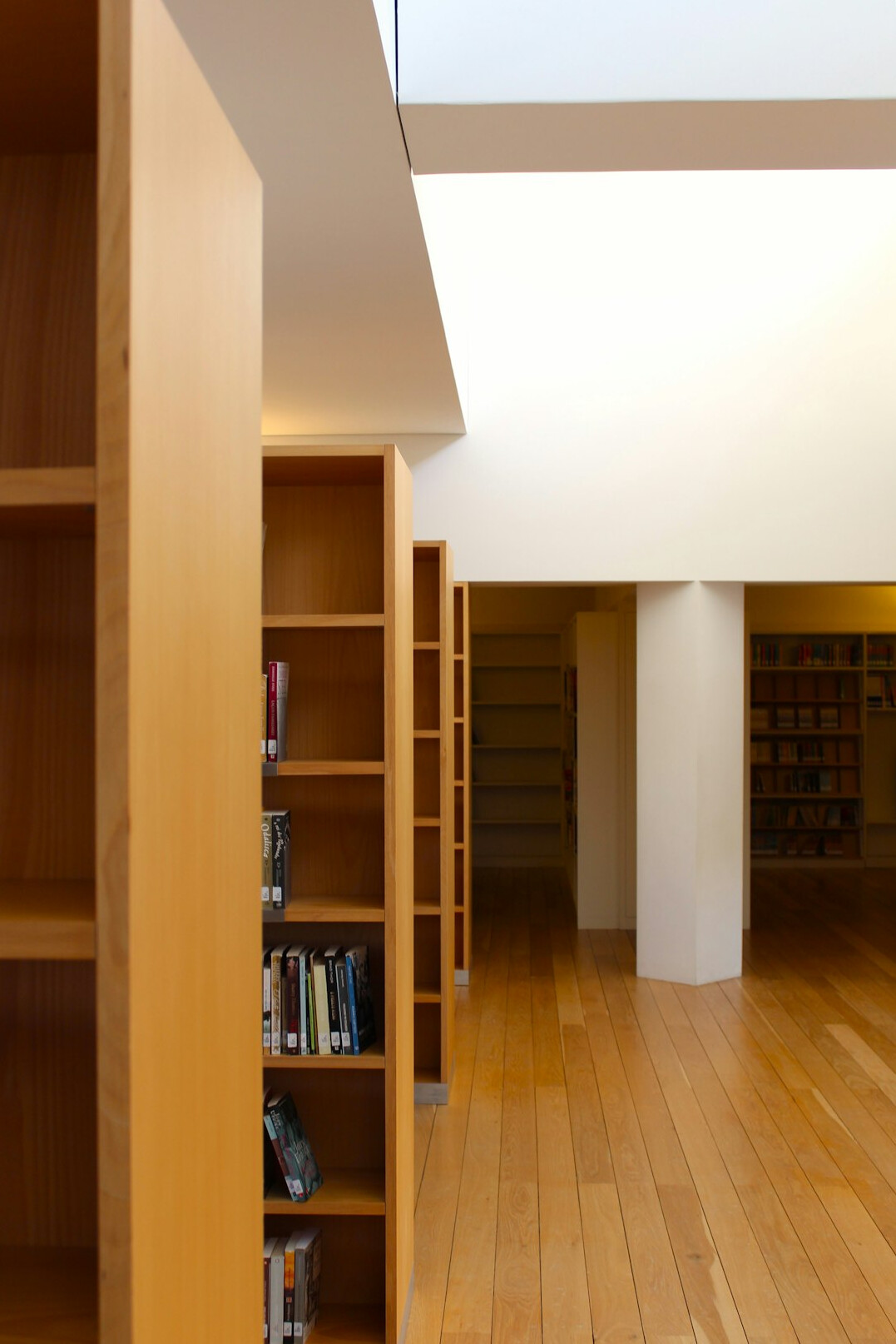 Empty library interior with tall wooden bookshelves