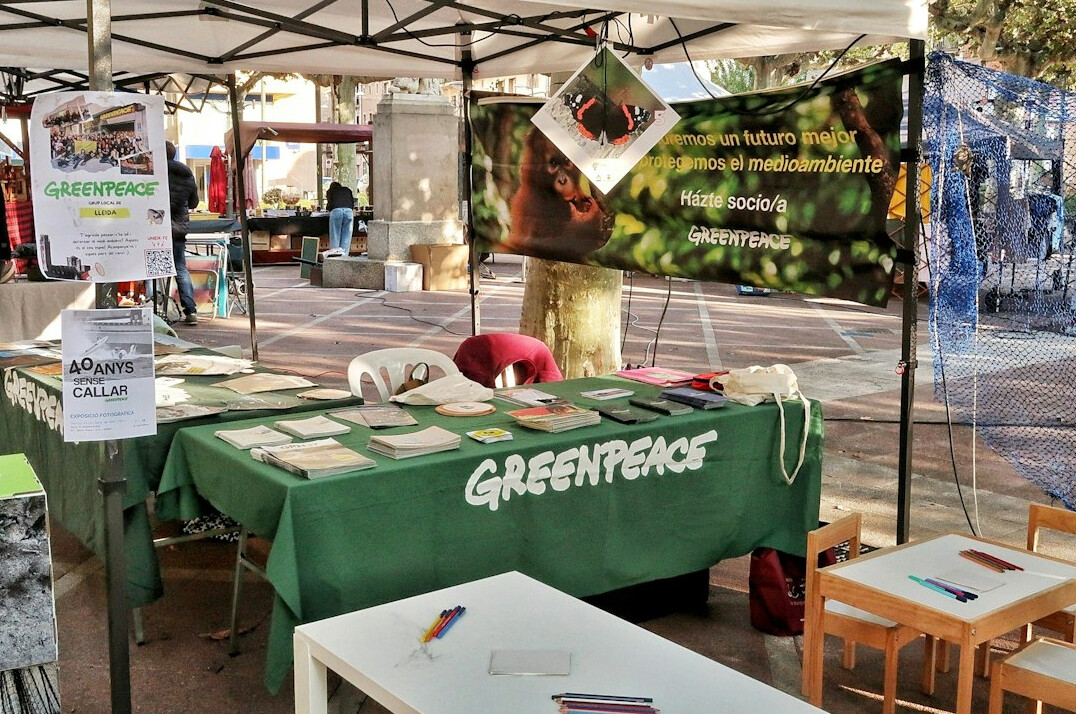 celebrity at eco event